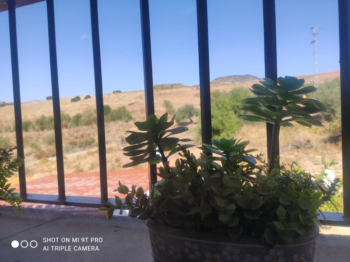 El Lagar De Pepe Bed & Breakfast Casabermeja Bagian luar foto